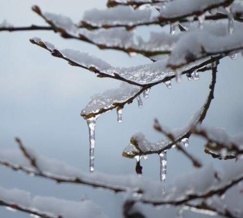 003-190124 Eisregen-und-Schnee30