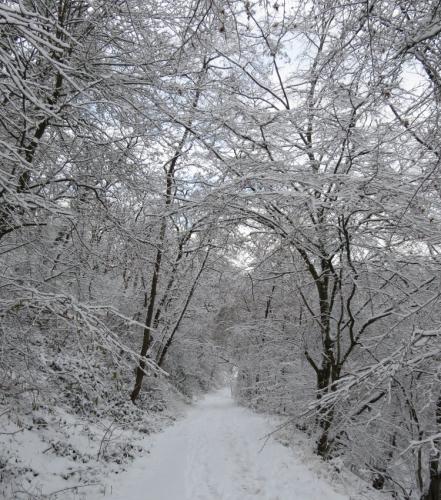 003-190124 Eisregen-und-Schnee31