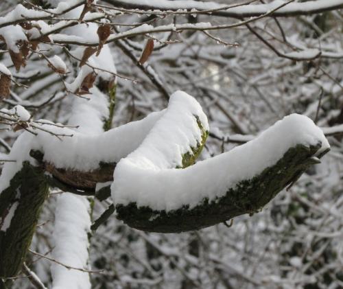 003-190124 Eisregen-und-Schnee34