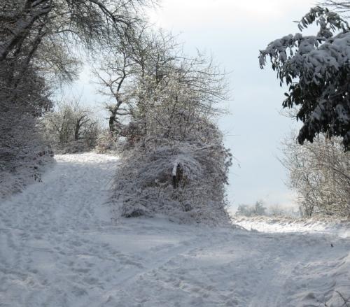 003-190124 Eisregen-und-Schnee35