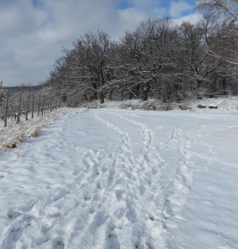 003-190124 Eisregen-und-Schnee38