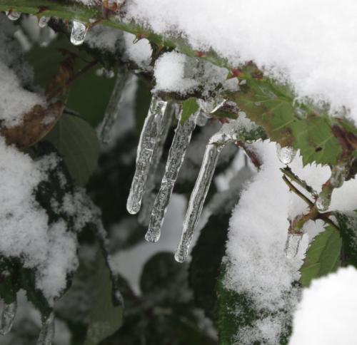 003-190124 Eisregen-und-Schnee39