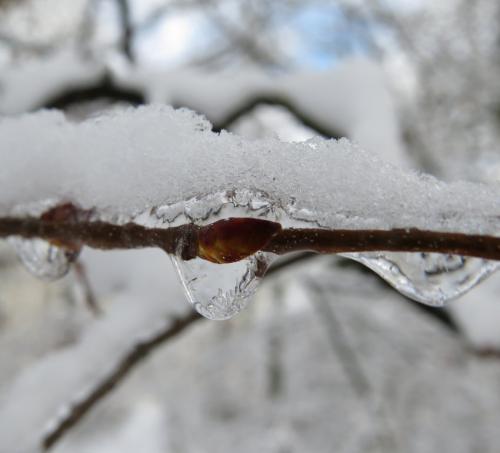 003-190124 Eisregen-und-Schnee41