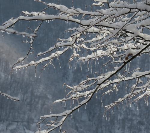 003-190124 Eisregen-und-Schnee43