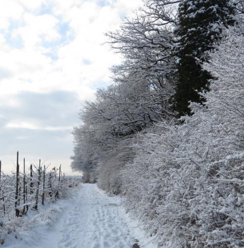 003-190124 Eisregen-und-Schnee45