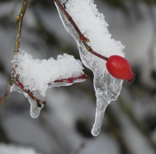 003-190124 Eisregen-und-Schnee46