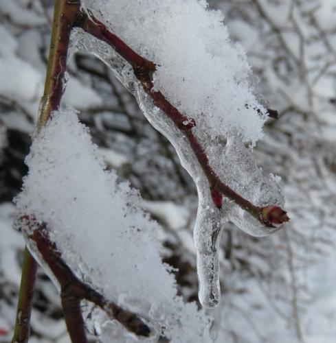 003-190124 Eisregen-und-Schnee47