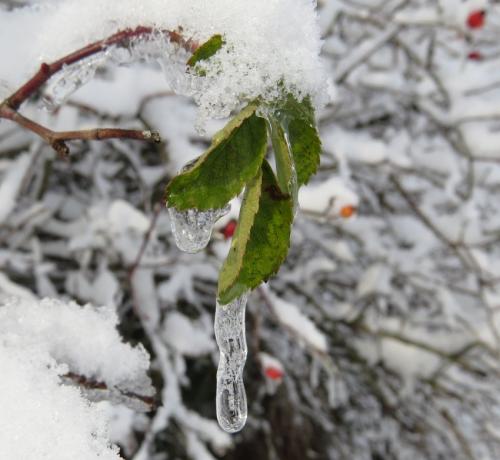 003-190124 Eisregen-und-Schnee48