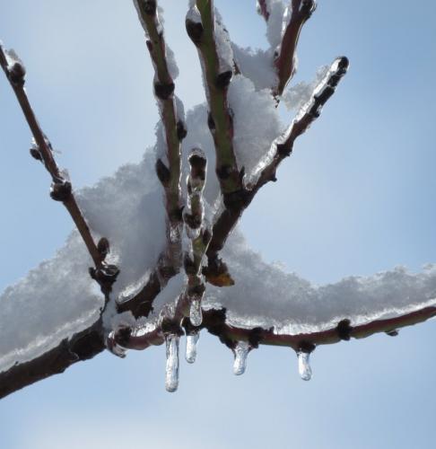 003-190124 Eisregen-und-Schnee49