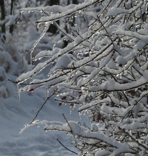 003-190124 Eisregen-und-Schnee50