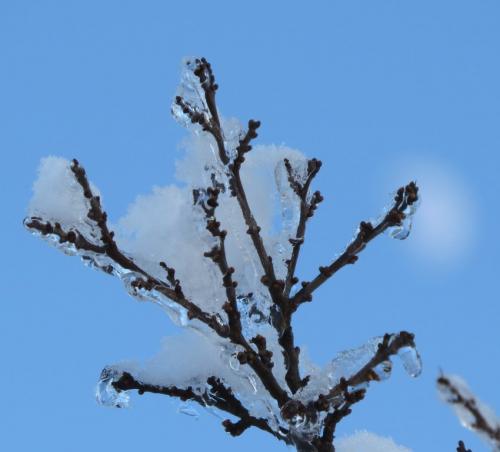 003-190124 Eisregen-und-Schnee67