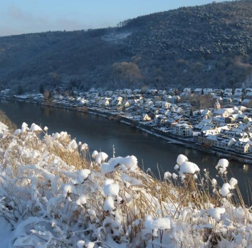 003-190124 Eisregen-und-Schnee69