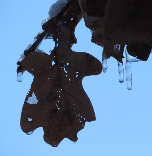 003-190124 Eisregen-und-Schnee70