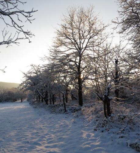 003-190124 Eisregen-und-Schnee71