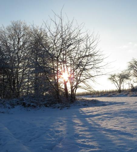 003-190124 Eisregen-und-Schnee72