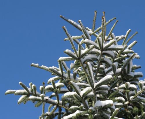 004-200124 Eisregen-und-Schnee01