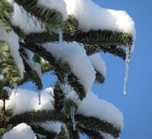 004-200124 Eisregen-und-Schnee02