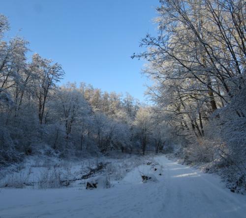 004-200124 Eisregen-und-Schnee03