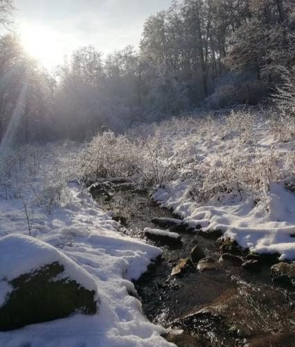 004-200124 Eisregen-und-Schnee03a