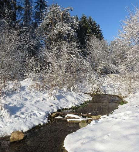 004-200124 Eisregen-und-Schnee04