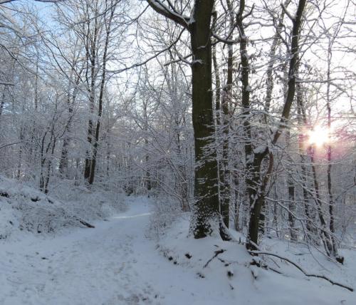 004-200124 Eisregen-und-Schnee05