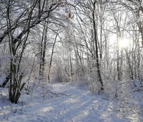 004-200124 Eisregen-und-Schnee08a