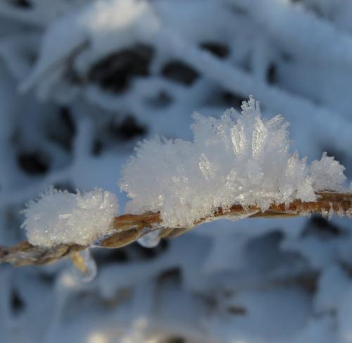 004-200124 Eisregen-und-Schnee09