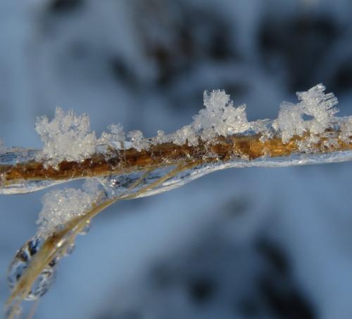 004-200124 Eisregen-und-Schnee11