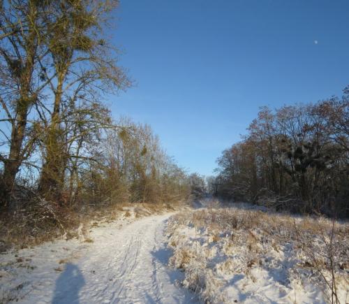 004-200124 Eisregen-und-Schnee15