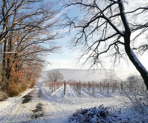 004-200124 Eisregen-und-Schnee17a