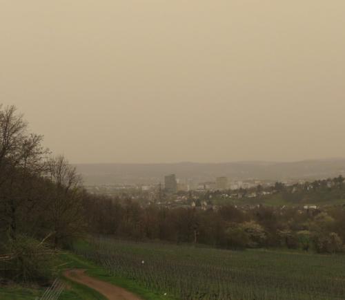 2024-Saharasand 30.03.2024Koblenz 13