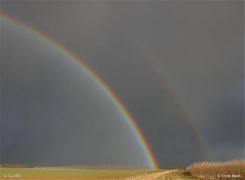 008-07122011-Regenbogen