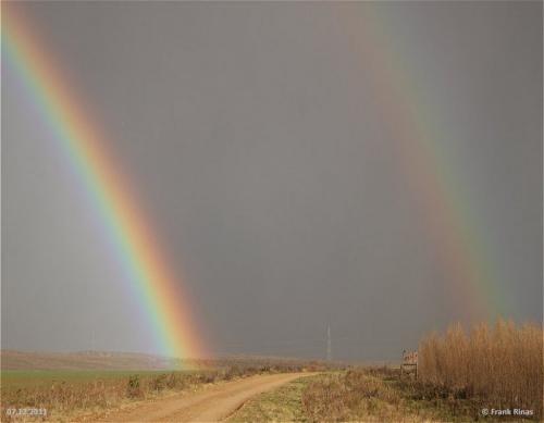 008-07122011-Regenbogen03