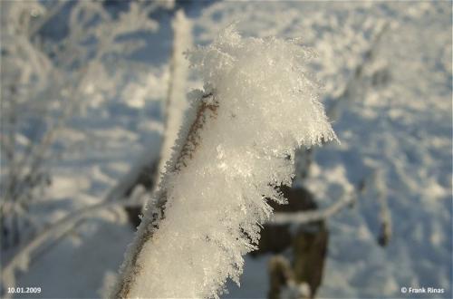 005-10012009Schnee04