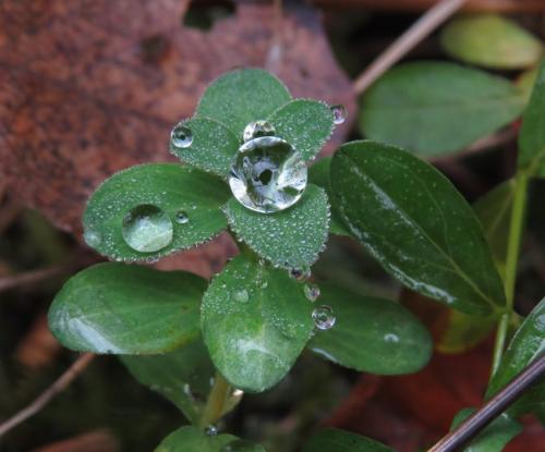 Waterdrops053